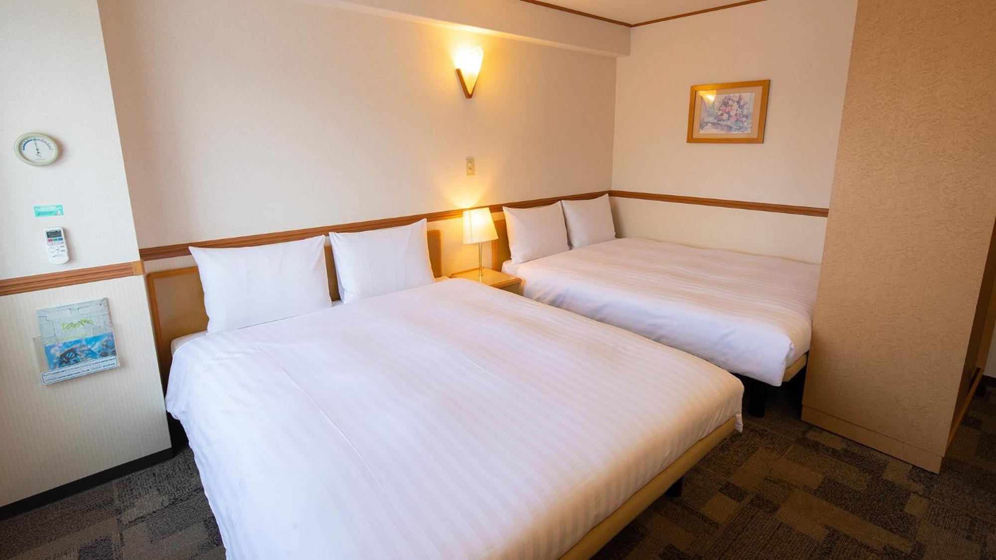 Toyoko Inn Kagoshima chuo eki Nishi guchi Camera foto